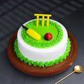 Cricket Pitch Cake