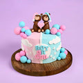 Baby Shower Theme Cake