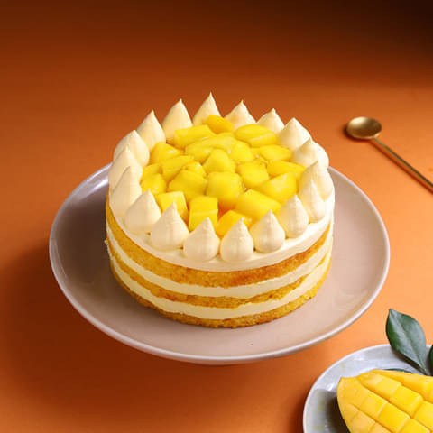 Juicy Mango Cake